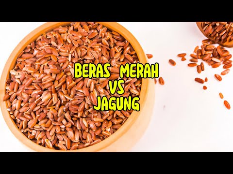 Beras Jagung Gandum