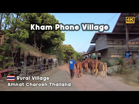 Rural Village 4K 🇹🇭 Ban Kham Phone Village in Amnat Charoen Thailand 2023