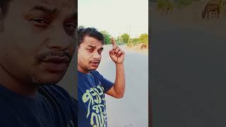 #rasta mil jaaye to#