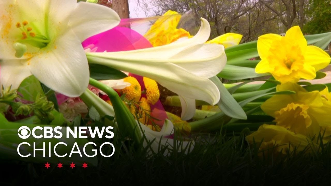 Memorial growing in Winnetka after 2 women killed, baby critically hurt ...
