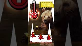 Biting Into Biology: Bears, Apples, and Health Insights 🐻🍎🔬