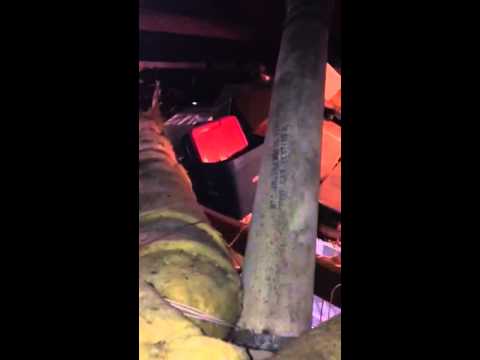 attic-insulation-replacement-|-asbestos-removal-|-pure-eco-inc.-|-pure-eco