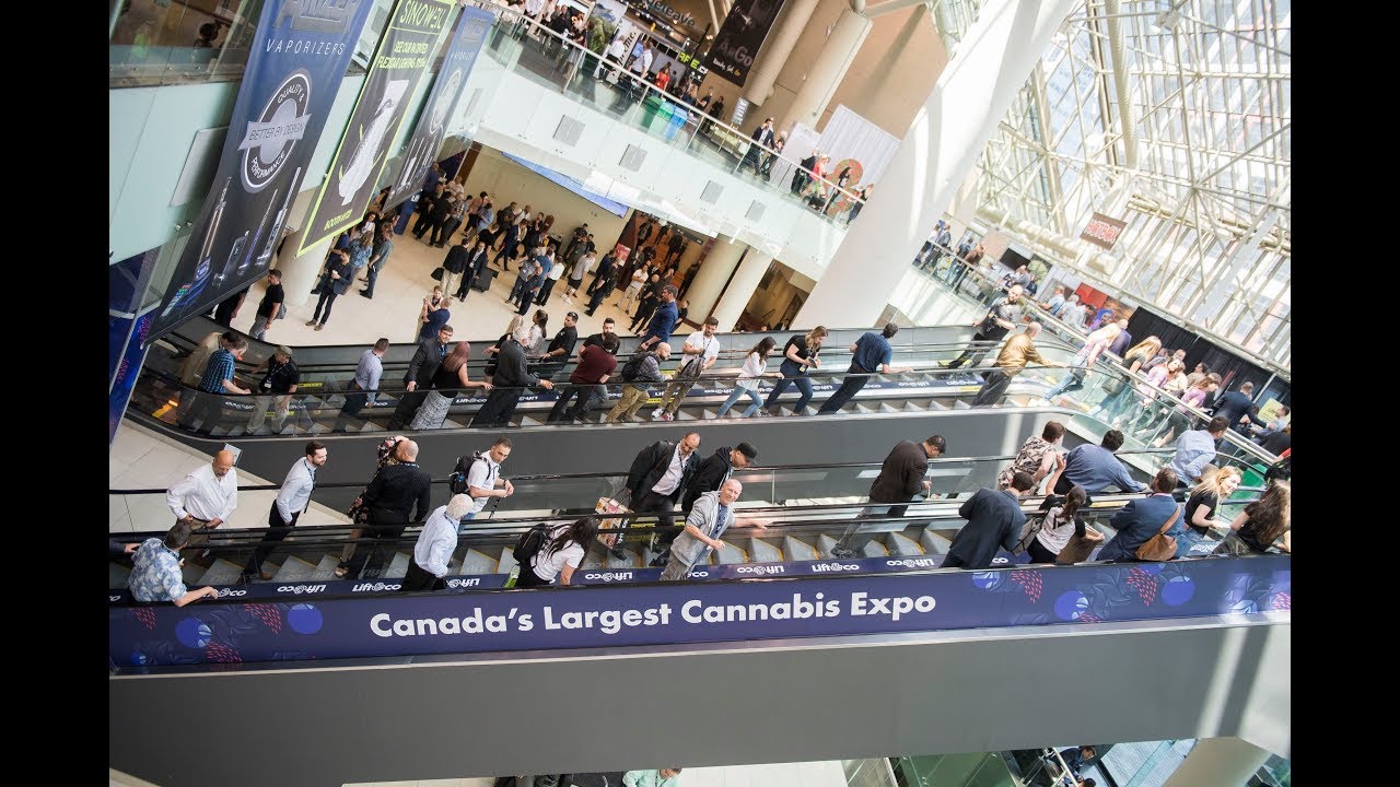 Lift & Co Cannabis Expo Toronto 2018
