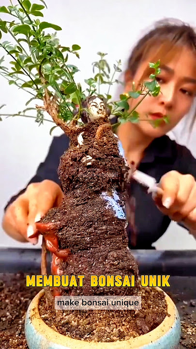 Membuat Bonsai Unik Menempel di patung #bonsaiunik #bonsaimini #bonsaigirl