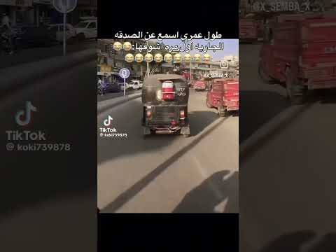 الشعب المصري ملوش حل