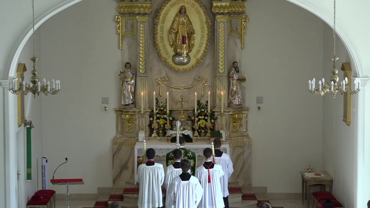 Dominica XV Post Pentecosten YouTube