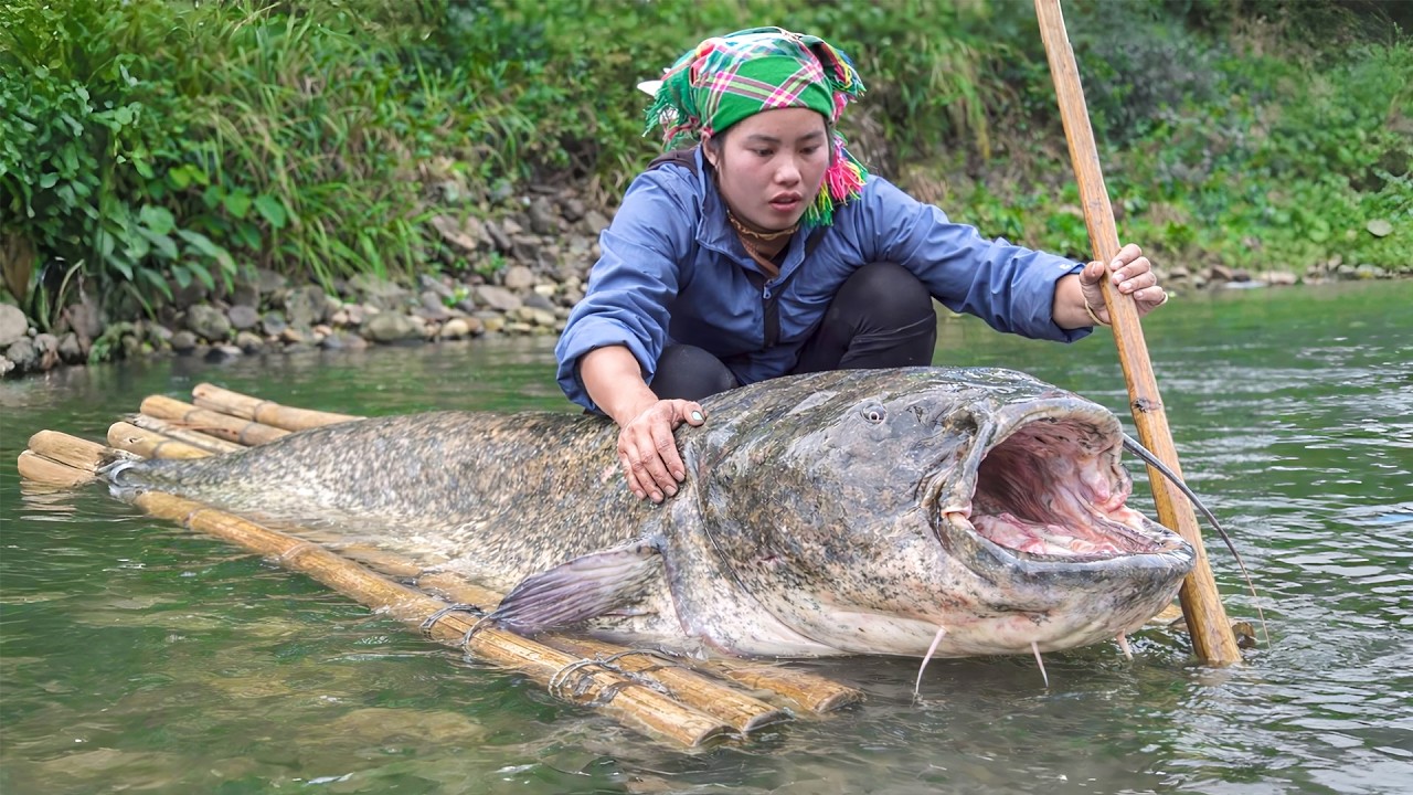 Fishing on boat: Hand-catching 1000kg+ huge river carp & loaches using DIY net trap for market sale