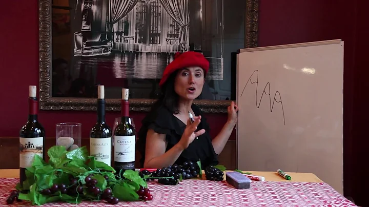 Part 2: The Regions of Malbec with Laura Catena