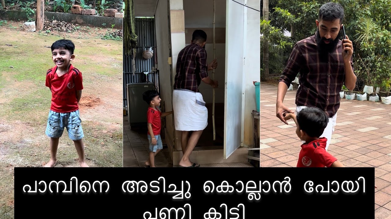 പാമ്പിനെ അടിച്ചു കൊല്ലാൻ പോയി പണി കിട്ടി 😥|Aydhuspappa|