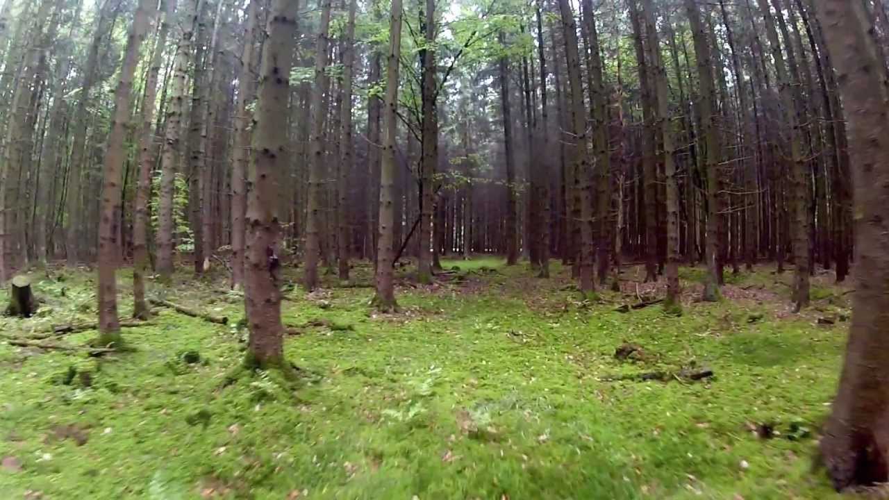 FPV Flight in a forest with my Quadrixette 30