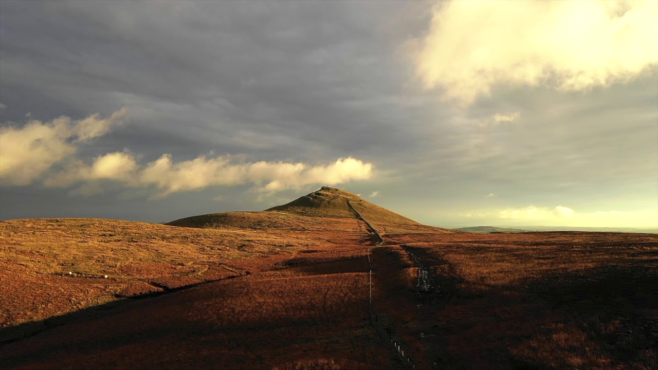 Walking with the dog and drone