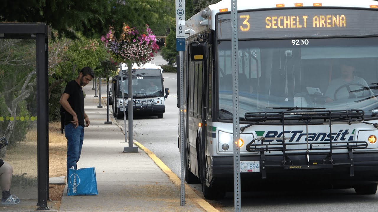 sunshine-coast-transit-system-in-action-4k-10-minutes-of-unnarrated