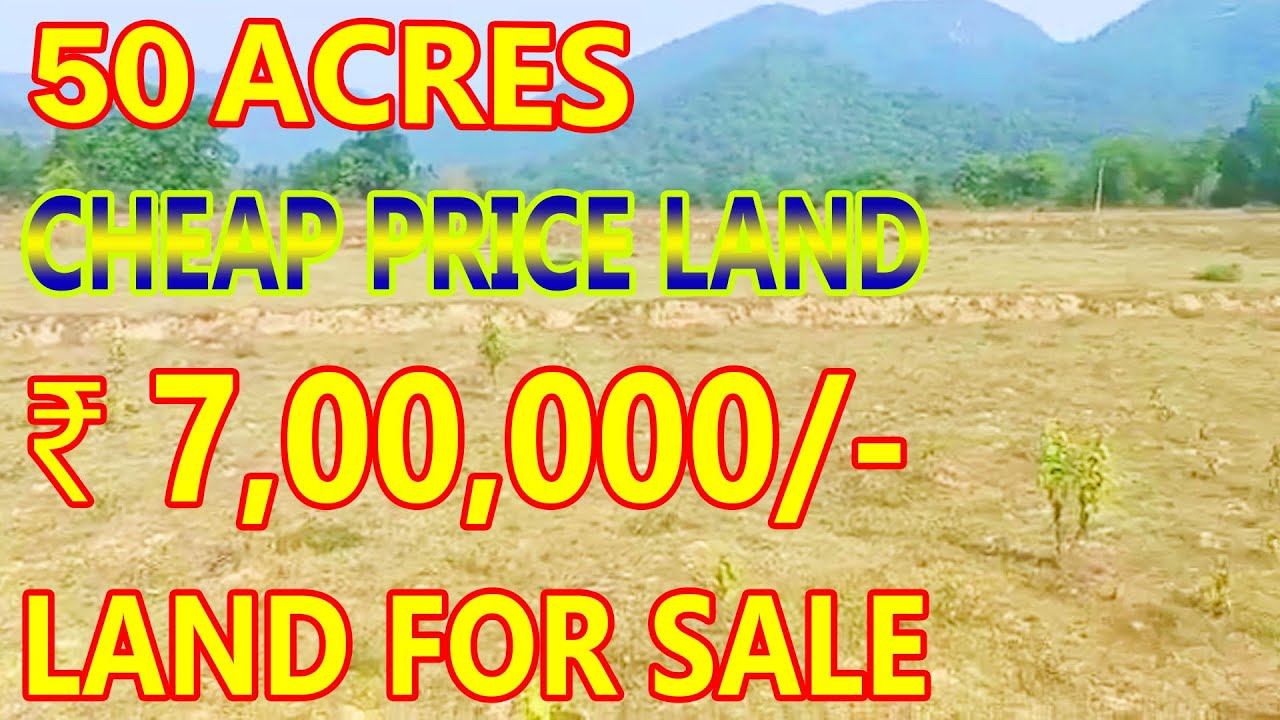 50 Acres Cheap Price Land For Sale Clear Title Property Sale Cheap