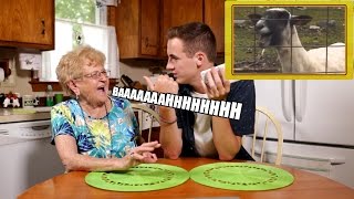Kevin And Grandma Lill Get Dubsmashed With A Screaming Goat