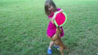 Umm... A Little Help Here