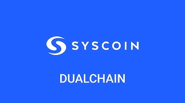 Dualchain Architecture