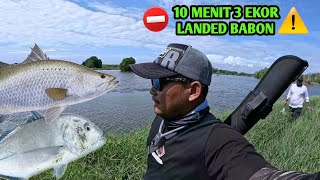 Trip mancing casting barramundi | TES JORAN UL SULTAN 🔥 #mancing #fishing #casting