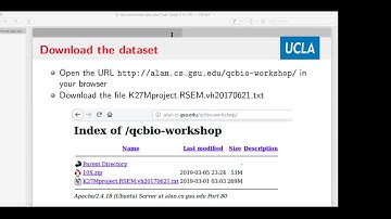 Single-Cell RNA-seq Analysis- Day 2
