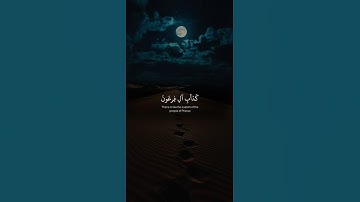 اكتب شيء تؤجر عليه 😴🤍 قران كريم | عبد الرحمن مسعد