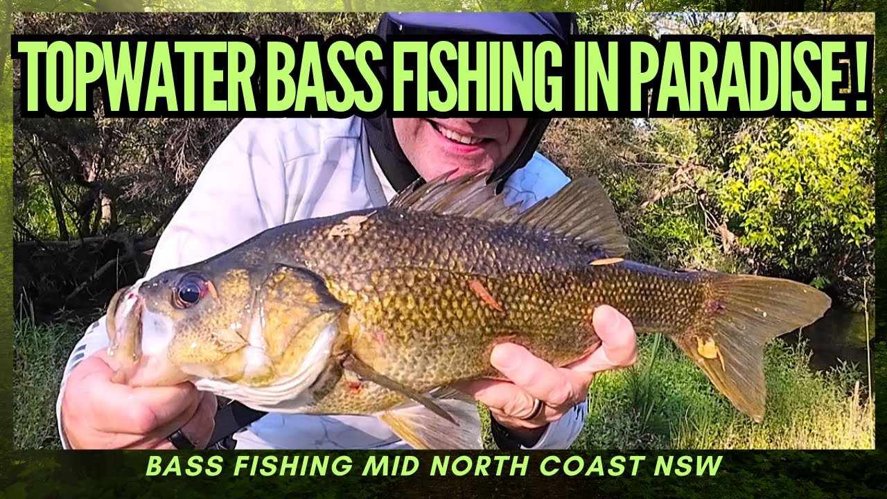TOPWATER BASS FISHING IN PARADISE !! Mid North Coast NSW