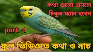 বাজরিগার পাখির কথা বলা | budgie talking in bengali | budgie talking | Talking budgie