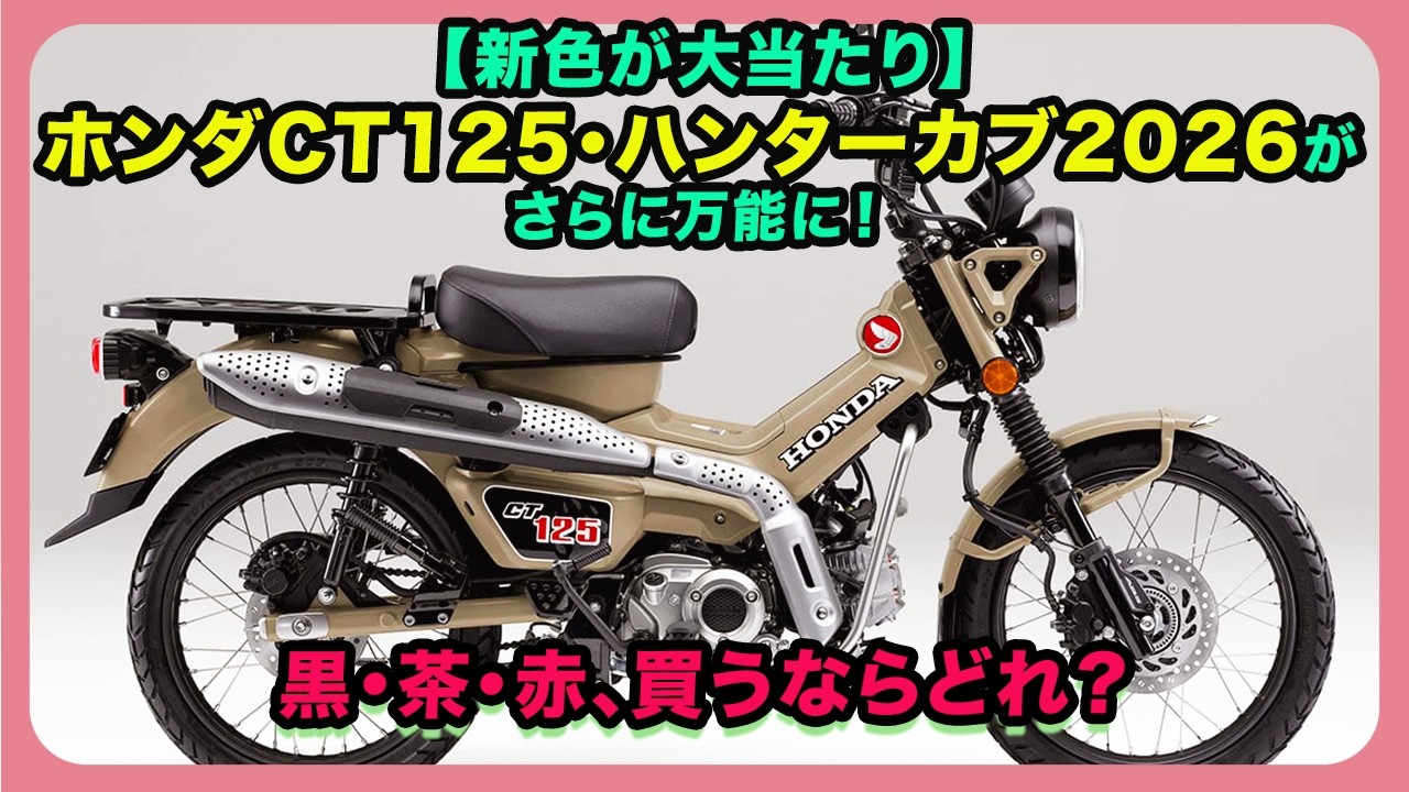 New Colors are a Huge Hit!] The 2026 Honda CT125 Hunter Cub is