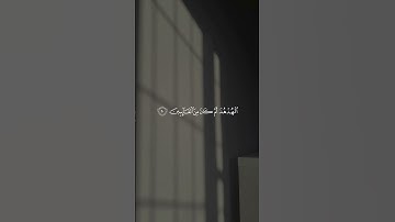 القارئ:ريان المحيسني