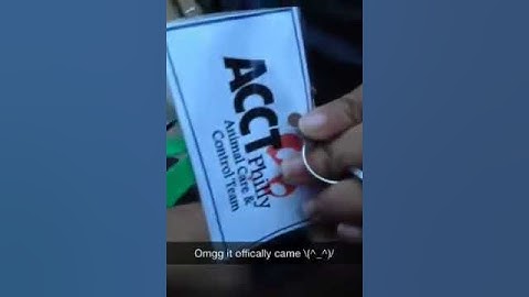 My official volunteer name tag \(^.^)/  | yays!