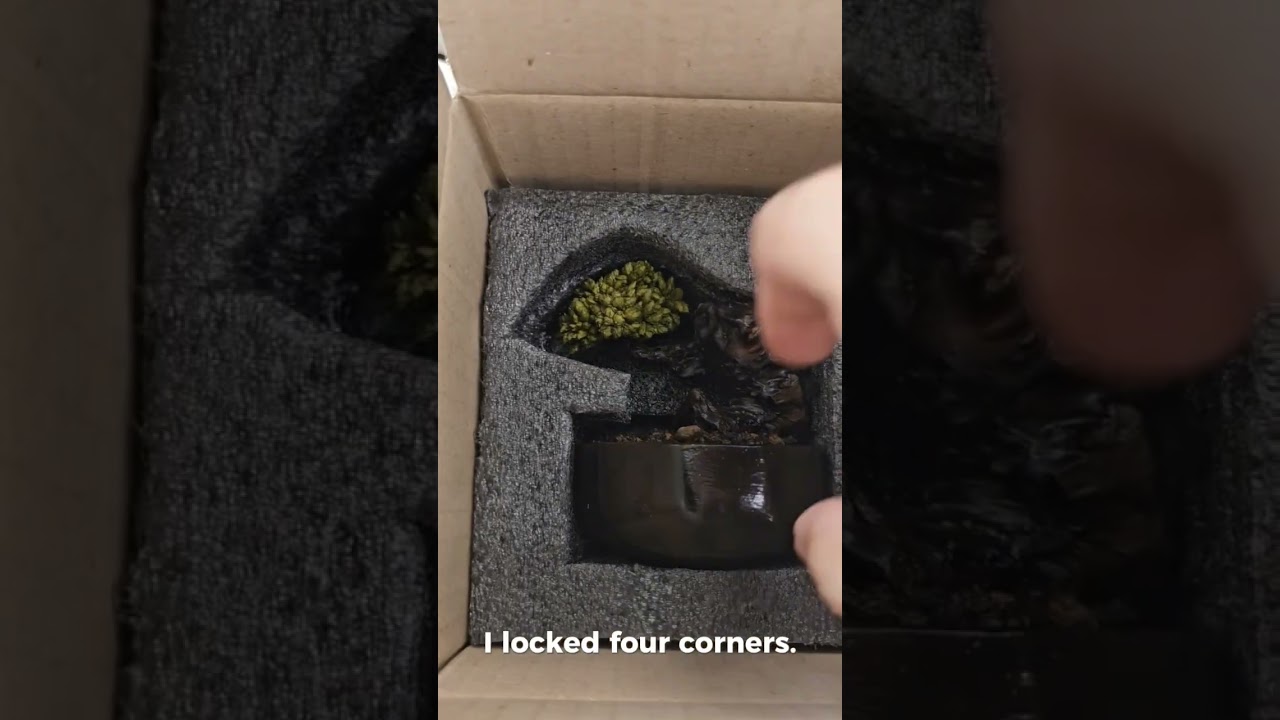 Packaging Strength Test.