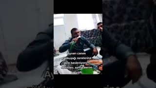 Evet Canım Izmirliyiz