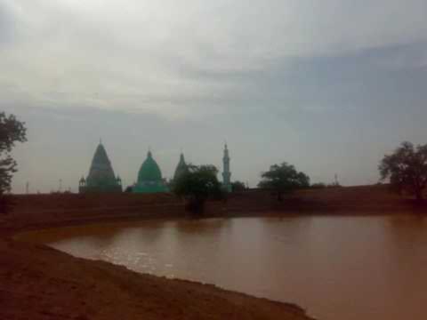 الشيخ المكاشفي الشكينبة