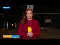 Protesters to return to North Adelaide Golf Course to fight against tree clearing | 9 News Australia