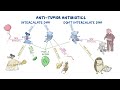 Anti-tumor antibiotics ~Pharmacology~