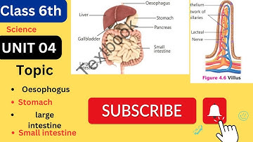 Class 6th Science  Unit 4 Oesophagus ,Stomach, large Intestine ,small intestine