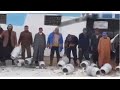 خليه يريب مقاطعة تخترق الآفاق حتى الفلاحة مقاطعين و ربي كبير
