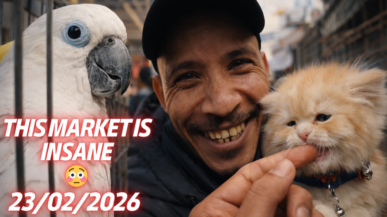 لن تصدق ما وجدته في سوق الحيوانات منصف باي  ! animal adventures 23/02/2026