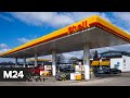 Shell уйдет с российского рынка и закроет все свои заправки - Москва 24