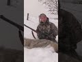 Hunting Coyotes