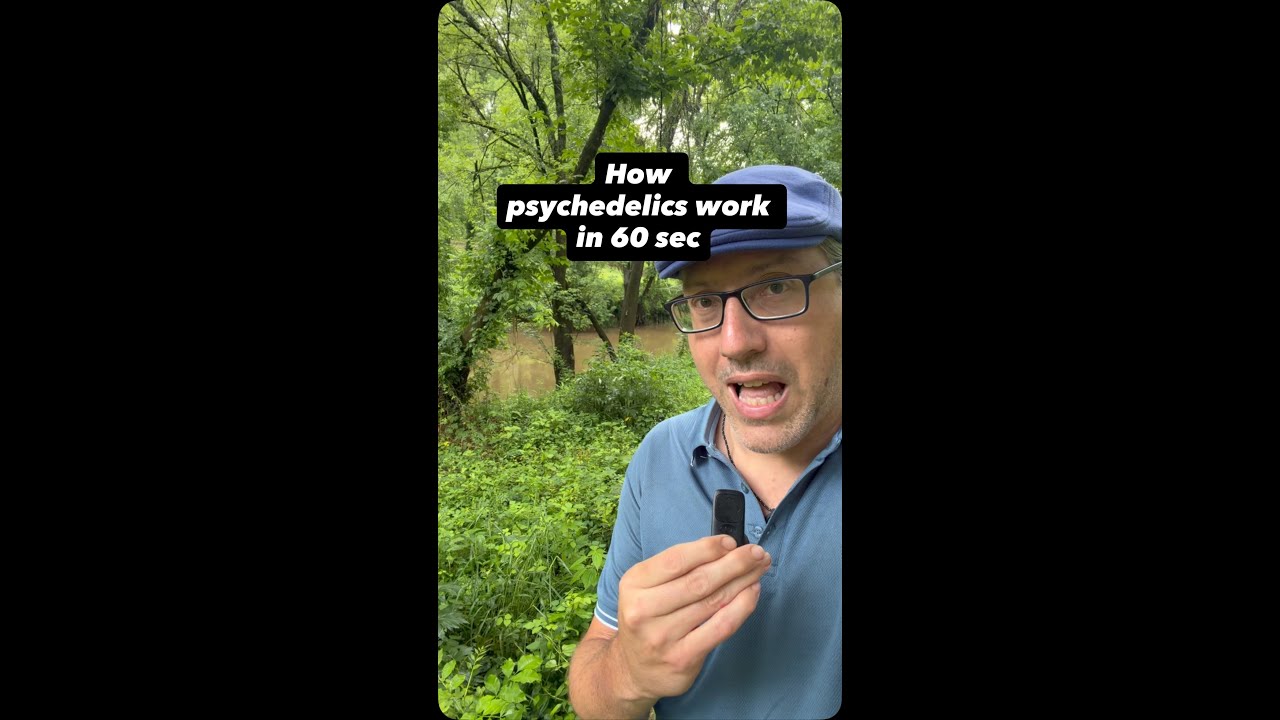 Inside a Psychedelic Experience: 1 Minute Explained