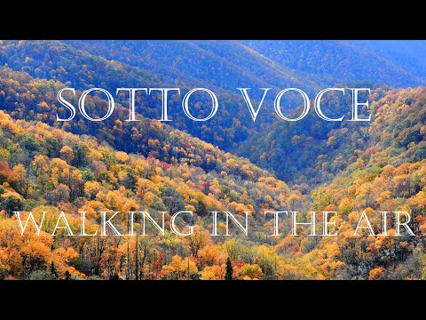 Sotto Voce