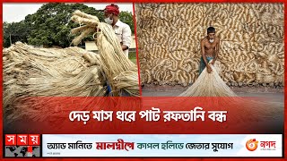 ভারতের সিদ্ধান্তে কাঁচা পাট রফতানিতে ধস | Jute Caltivation in Khulna | Somoy Business