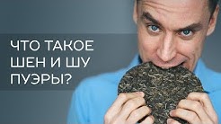 Что такое Шен и Шу пуэры? Проект Realchinatea.ru