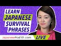 How to Learn Japanese Survival Phrases for FREE