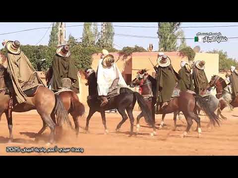 ملخص شامل لعروض الفنتازيا من وعدة سيدي أعمر ولاية البيض 2025 الجزء الثالث 