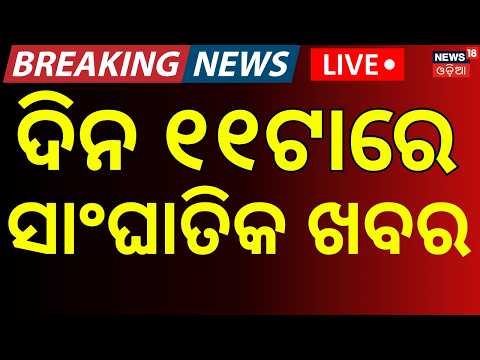 11AM News Live: Odisha Flood News | Odisha Rain News | Odisha Weather Update | Flood Alert Odisha