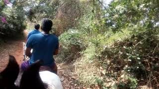 Horse Riding At Jungle....mano...sena...bharathb-