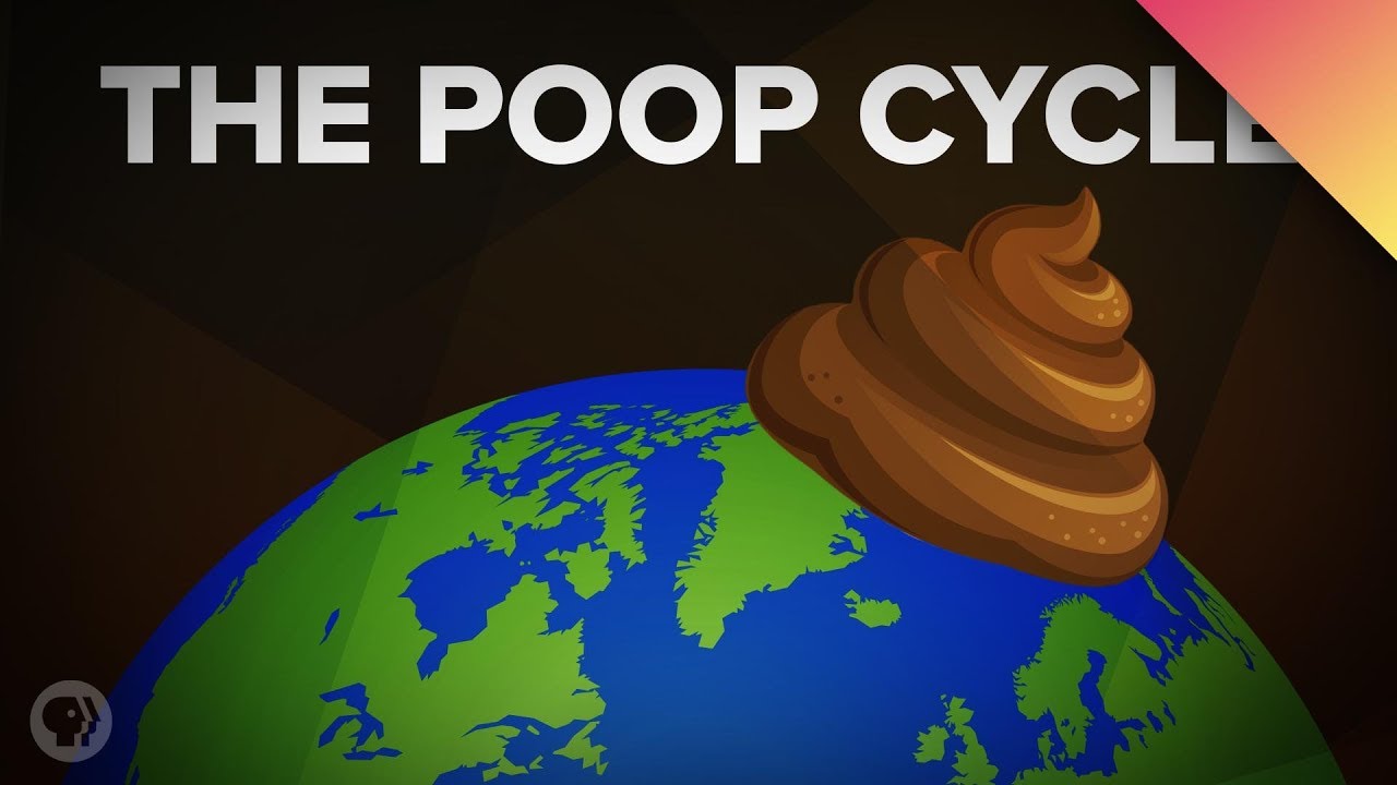 How Poop Shapes the World - YouTube