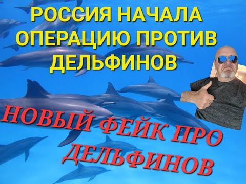#украина #война 5 минут назад. Новый фейк про дельфинов. ВОЙНА ФЕЙКОВ .РОССИЯ ПРОТИВ ДЕЛьФИНОВ.