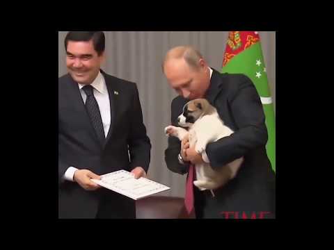 Putin S Extraordinary Alpha Male Walk 