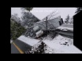 Tree Huggin Tractor Trailer in Seattle, WA | Pro-Tow